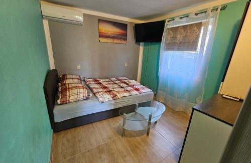 Donji Karin Apartamento | Apartments Robi & Kristina - Studio Apartment with Terrace S1