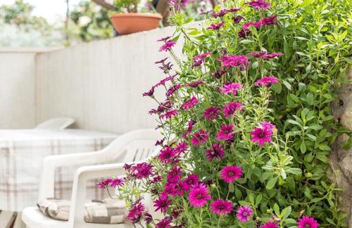 Mastrinka Apartamento | Apartments Rogulj