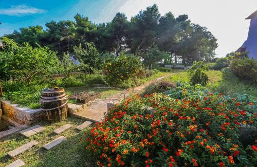 Zadar Apartamento | Apartments & Rooms Hosana