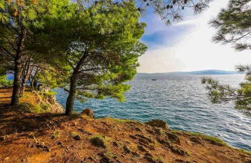 Zadar Apartamento | Apartments & Rooms Hosana