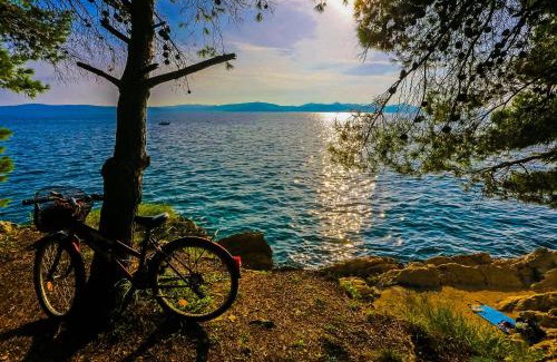 Zadar Apartamento | Apartments & Rooms Hosana