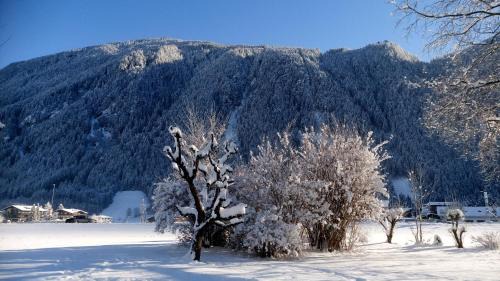 Mayrhofen Apartamento | Apartments Rosenhof