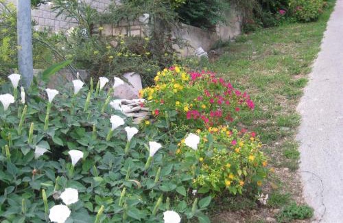 Rabac Apartamento | Apartments Silmare