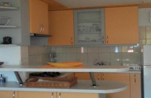 Gornji Karin Apartamento | Apartments Smilje i Maslina - One Bedroom Apartment with Terrace 2