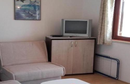 Gornji Karin Apartamento | Apartments Smilje i Maslina - One Bedroom Apartment with Terrace 1