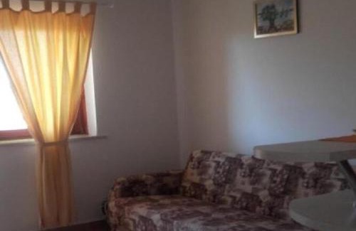 Gornji Karin Apartamento | Apartments Smilje i Maslina - One Bedroom Apartment with Terrace 1