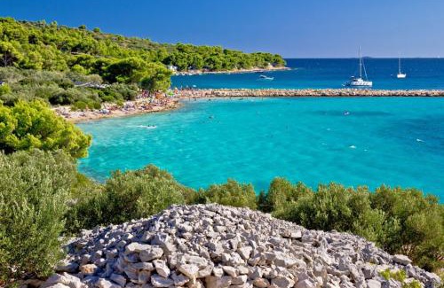 Murter Apartamento | Apartments Sonja Murter Croatia