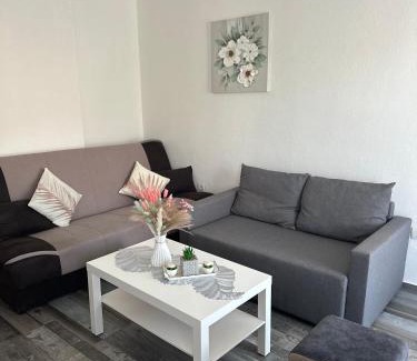 Mrcevac Apartamento | Apartments Tijana