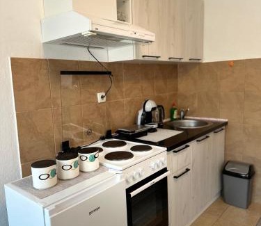 Mrcevac Apartamento | Apartments Tijana