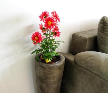 Tomicici Apartamento | Apartments Tivat