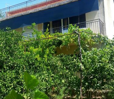 Susica Apartamento | Apartments Vala