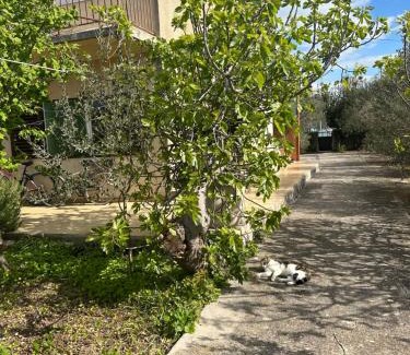Susica Apartamento | Apartments Vala