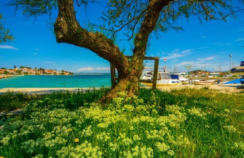 Bilice Apartamento | Apartments Vendi