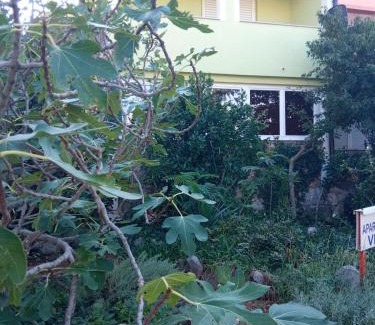 Ribarica Apartamento | Apartments Vesna