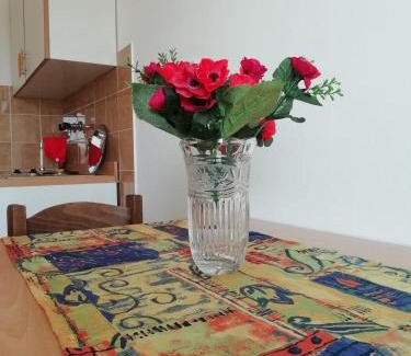 Vodice Apartamento | Apartments Vidović