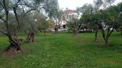 Loutropoli Thermis Apartamento | Apartments Villa Myrto