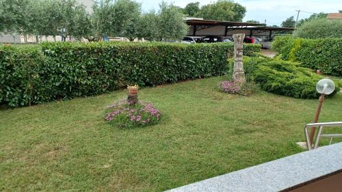 Babici Casa | Apartments Villa Adamović