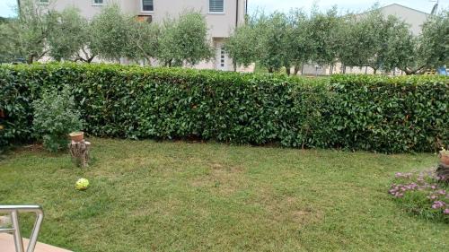 Babici Casa | Apartments Villa Adamović