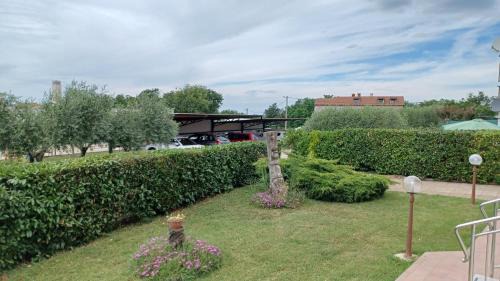 Babici Casa | Apartments Villa Adamović