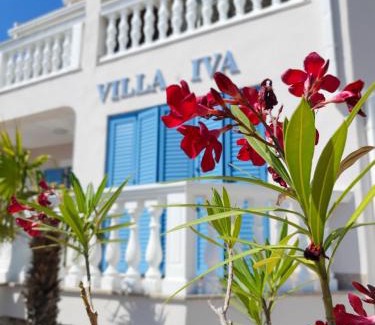 Ravni Apartamento | Apartments Villa Iva