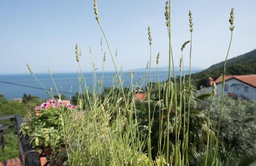 Lovran Apartamento | Apartments Villa Zara