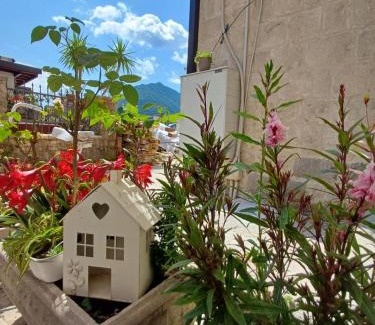 Perast Apartamento | APARTMENTs VISIT PERAST
