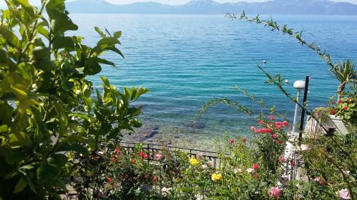 Gradac Apartamento | Apartments Vrisak