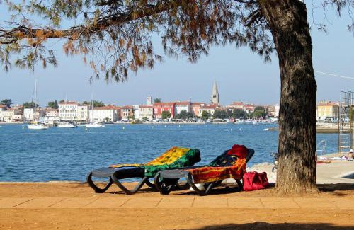 Zbandaj Apartamento | Apartments with a swimming pool Zbandaj, Porec - 14154