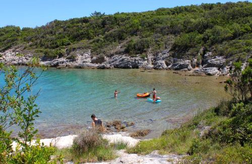 Mali Losinj Apartamento | Apartments with parking space Sveti Jakov, Losinj - 24153