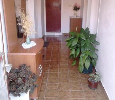 Maslenica Apartamento | Apartments with parking space Maslenica, Novigrad - 11089