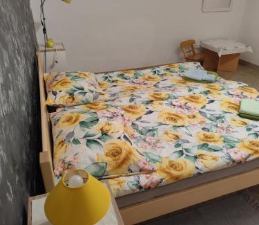 Ogulin Apartamento | Apartments with parking space Hreljin Ogulinski, Gorski kotar - 24798