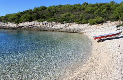 Rukavac Apartamento | Apartments with parking space Rukavac, Vis - 8496