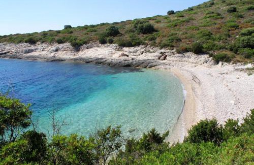 Brbinj Apartamento | Apartments with parking space Brbinj, Dugi otok - 8160