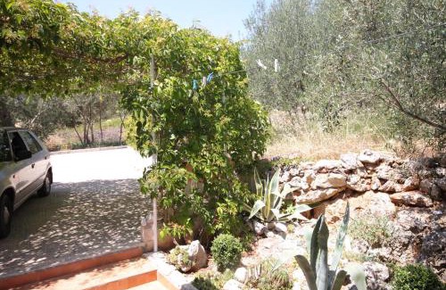 Brbinj Apartamento | Apartments with parking space Brbinj, Dugi otok - 8160
