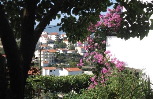 Seget Vranjica Apartamento | Apartments with parking space Seget Vranjica, Trogir - 11273