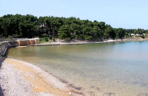 Island Hvar Apartamento | Apartments with parking space Jelsa, Hvar - 8713