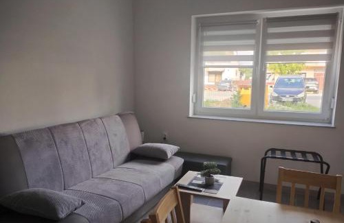Otok Apartamento | Apartments with parking space Otok, Slavonija - 24625