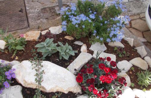 Brulo Apartamento | Apartments with parking space Porec - 7154