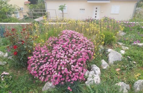 Barbat na Rabu Apartamento | Apartments with parking space Barbat, Rab - 22863
