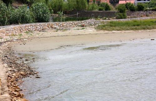 Suha Punta Apartamento | Apartments with parking space Kampor, Rab - 5000