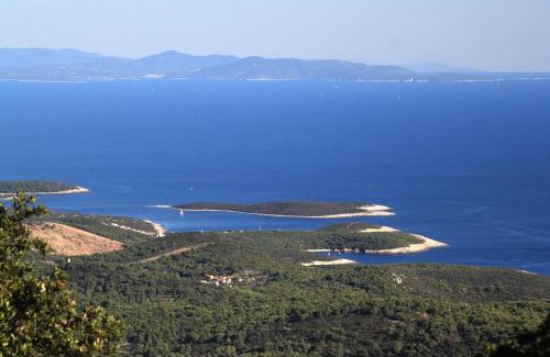Rukavac Apartamento | Apartments with parking space Rukavac, Vis - 8897