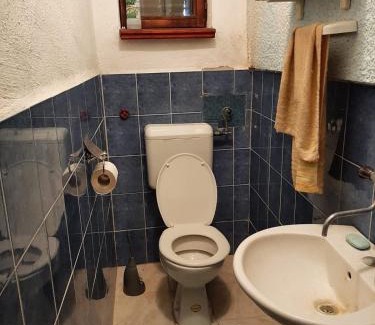 Drnis Apartamento | Apartments with swimming pool Pakovo Selo, Zagora - 24486