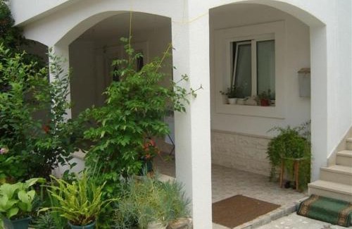 Vis Apartamento | Apartments Zoki