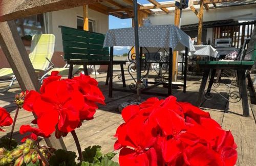 Sencur Apartamento | Apartments Zupan