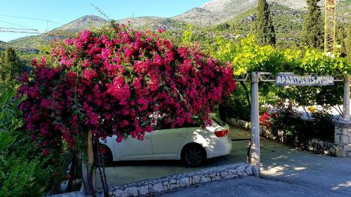 Slano Apartamento | Apartments Zvono