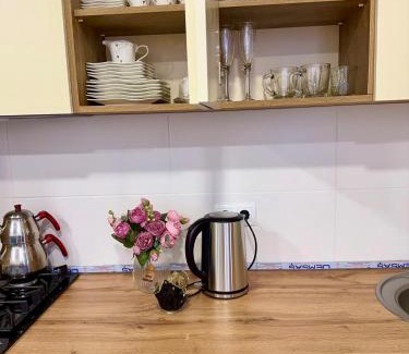 Bakuriani Apartamento | Apatment Hotel Bakuriani INN