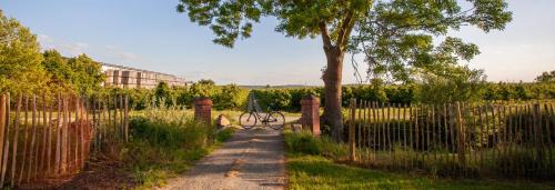 Ladekop Casa | Apfelhof Wegener Elstar Topaz