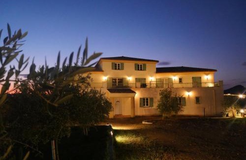 Oletta Apartamento | APICULTEUR
