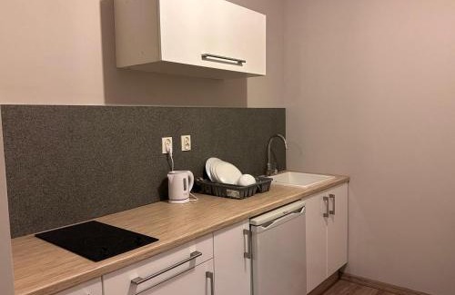 Poznan City Center Apartamento | Apolla 12