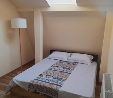 Singeorgiu de Mures Apartamento | Apollo 2 camere